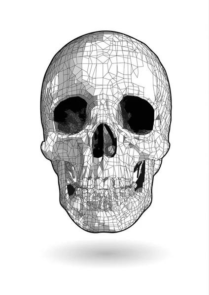 Monochrome polygonal skull drawing with pen and ink stylized isolated on white background — Stock Illustration Monochrome Polygonal Skull Drawing Pen Ink Stylized Isolated White Background Stock Illustration