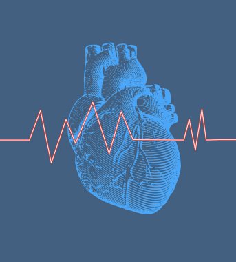 Vintage retro engraving blue human heart illustration on blue background with heart rate pulse graph clipart