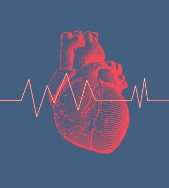 Vintage retro engraving red human heart illustration on blue background with heart rate pulse graph clipart
