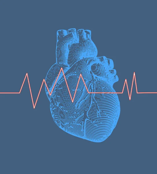 Ročník Retro Rytí Modré Lidské Srdce Ilustrace Modrém Pozadí Pulzním — Stockový vektor