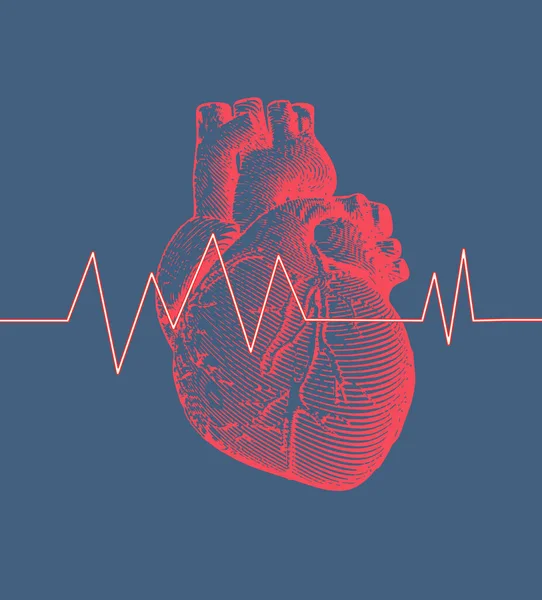 Ročník Retro Rytí Červené Lidské Srdce Ilustrace Modrém Pozadí Pulsní — Stockový vektor