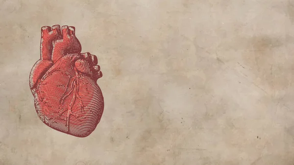 Винтажная Ретро Гравировка Красного Человеческого Сердца Старом Бумажном Фоне — стоковый вектор