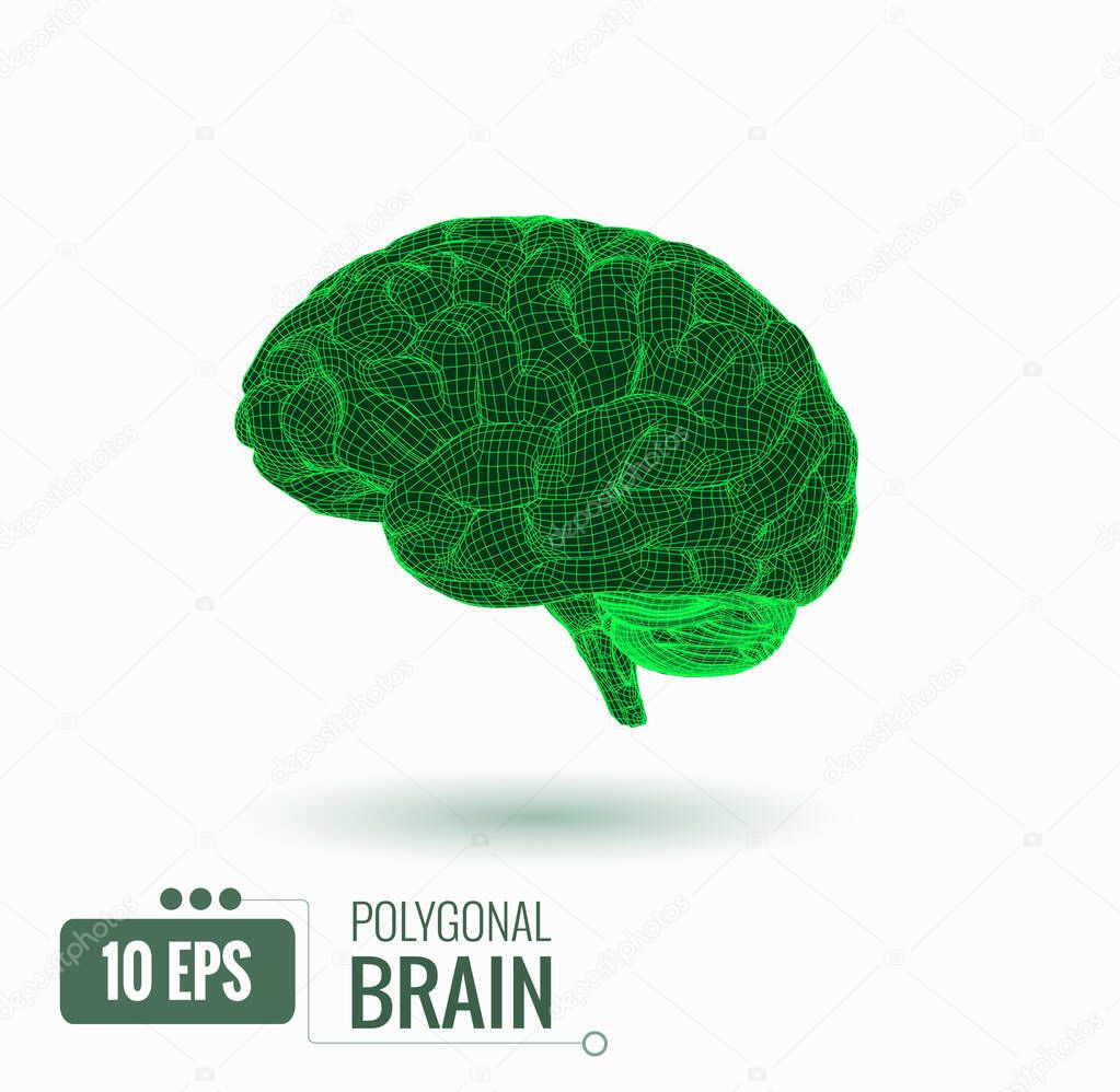 Vector 3D wireframe polygonal green brain graphic illustration side view glowing isolated on white background