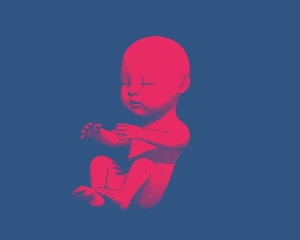 Leuchtend Rote Menschliche Föten Baby Solide Gravur Illustration Isoliert Auf — Stockvektor