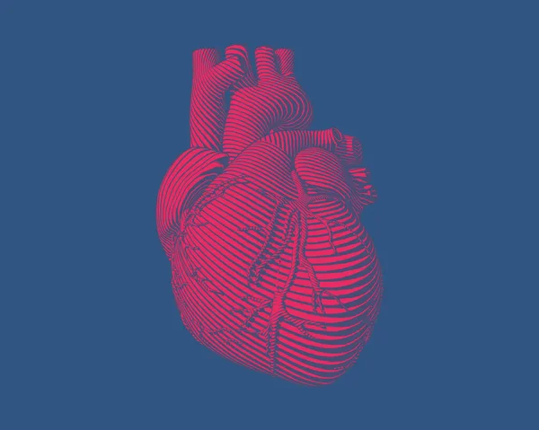 Grabado Corazón Humano Rojo Con Trazo Arte Línea Flujo Sobre — Vector de stock