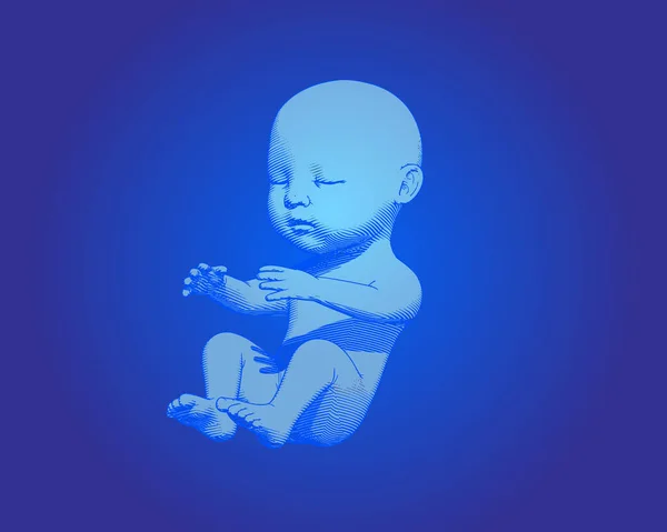 深い青色の背景に隔離された青い人間の胎児の赤ちゃんの彫刻イラストを光る — ストックベクタ