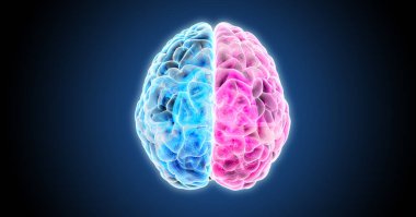 İnsan beyninin x-ray üst görüşünün mavi ve pembe renk tonlarını gösteren 3D çizim. Koyu mavi arkaplan üzerinde izole edilmiş ve parlayan doku kırpma yolu ile birlikte.