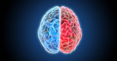 İnsan beyninin x-ray üst görüşünün mavi ve kırmızı renk tonlarını gösteren 3D çizim. Koyu mavi arkaplan üzerinde izole edilmiş ve parlayan doku ile nesne kırpma yolu da dahil.