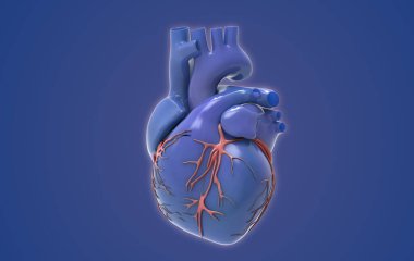 3D rengarenk çizim rengarenk insan organı kalbi. Derin mavi arkaplanda parlayan ve izole edilmiş, nesne kırpma yolu ile birlikte.