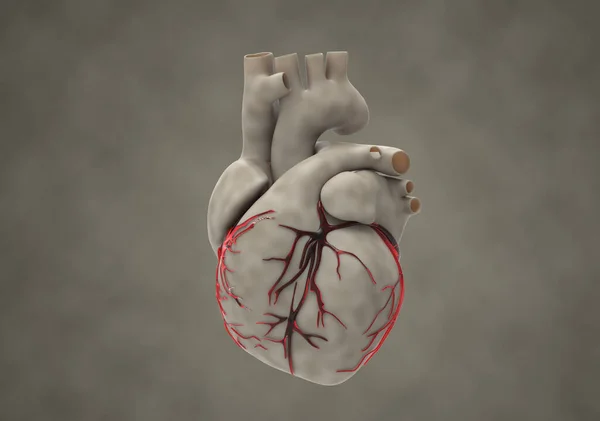 三维渲染图为带有红色静脉发光的褐色灰质人类器官心脏 在黑暗分形背景下与物体切割路径隔离 — 图库照片
