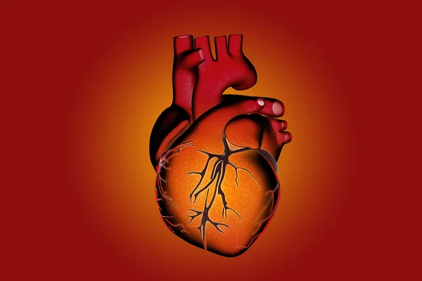 Ilustração Renderização Coração Órgão Escuro Com Veia Vermelha Brilhando Isolado — Fotografia de Stock
