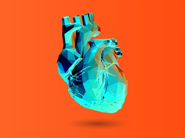 Bunt Grün Abstrakt Low Poly Humanes Organ Herzvektor Illustration Isoliert — Stockvektor