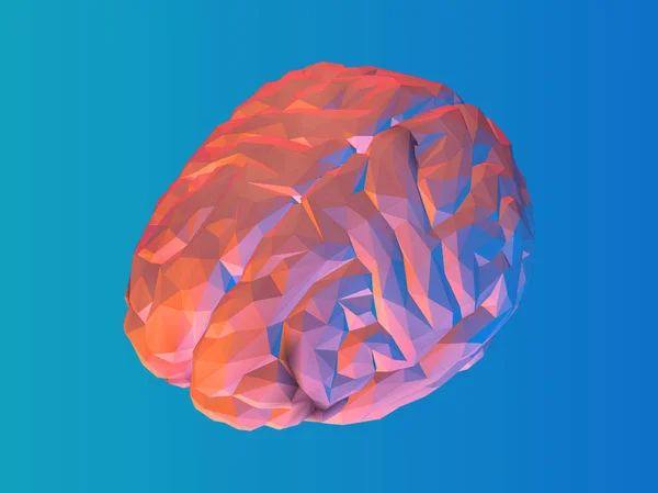 Colorful Low Poly Brain Vector Illustration Perspective Top View Isolated — Stock Vector