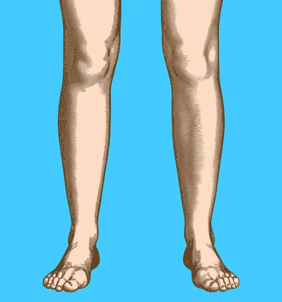 Красочный Винтажный Гравированный Рисунок Абстрактной Человеческой Ноги Ног Векторной Иллюстрации — стоковый вектор