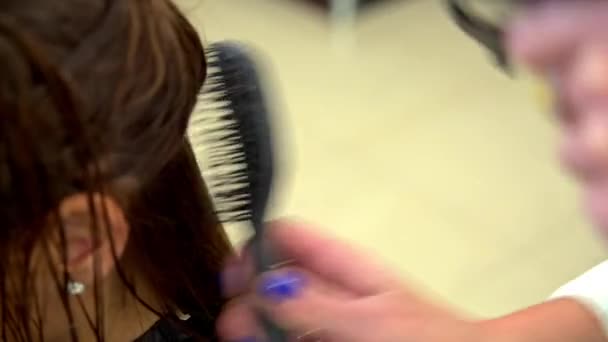 Il parrucchiere asciuga l'asciugacapelli — Video Stock