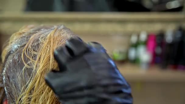 A fodrász a haj vonatkozik, a festék — Stock videók