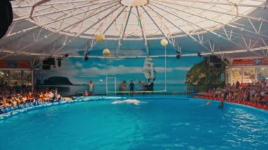 Yunuslar Dolphinarium gerçekleştirmek