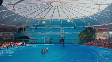 Yunuslar Dolphinarium gerçekleştirmek