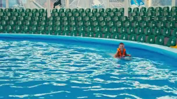 Το παιδί κολυμπά με ένα δελφίνι στο το Δελφινάριο — Αρχείο Βίντεο