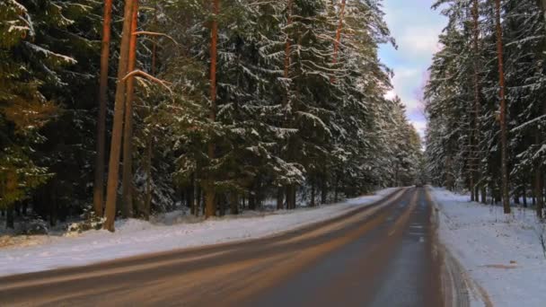 Estrada no inverno floresta nevada em um dia ensolarado — Vídeo de Stock
