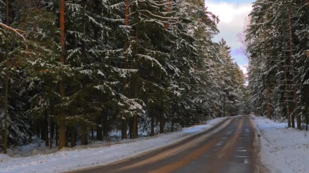 Weg in winter besneeuwde bos in een zonnige dag — Stockvideo