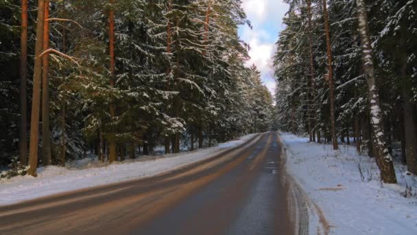 Carretera en invierno bosque nevado en un día soleado — Vídeo de stock