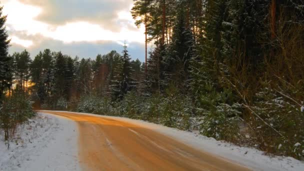 Güneşli bir gün ormanda kış karlı yolda — Stok video