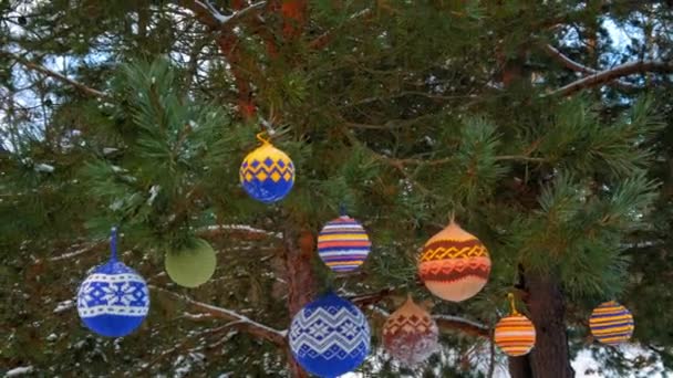 Bolas de Navidad colgando de ramas de pino cubiertas de nieve — Vídeos de Stock