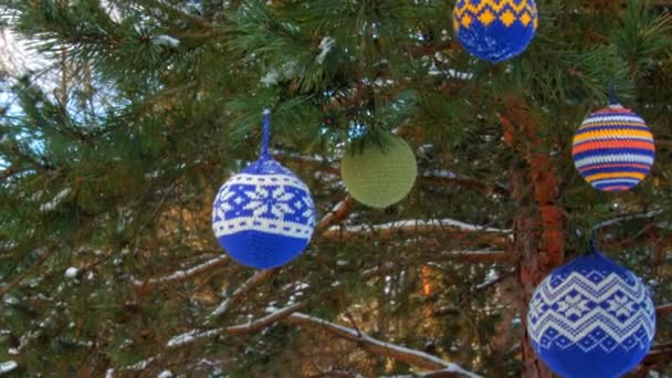 Palle di Natale appese a rami di pino ricoperti di neve — Video Stock