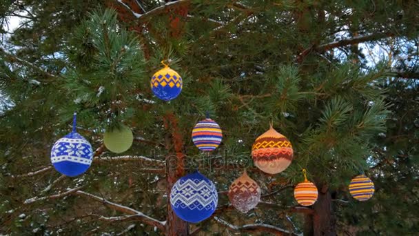 Bolas de Navidad colgando de ramas de pino cubiertas de nieve — Vídeos de Stock