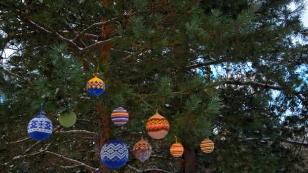 Bolas de Navidad colgando de ramas de pino cubiertas de nieve — Vídeos de Stock