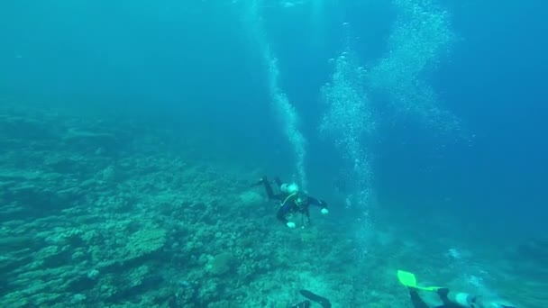 Diving in the red sea a group of divers submerged — Stock Video