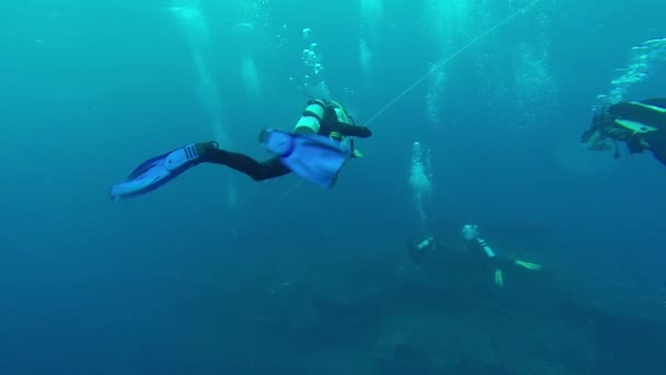 Buceo en el mar rojo un grupo de buceadores sumergidos — Vídeos de Stock