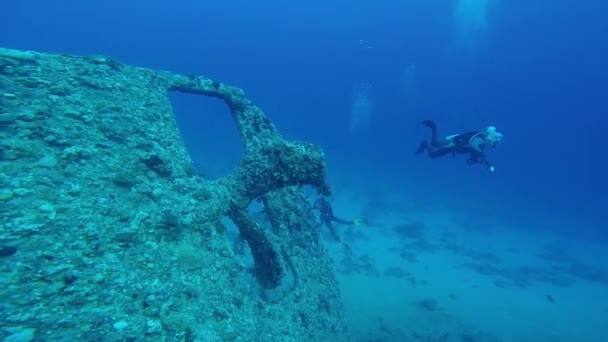 Diving in the red sea a group of divers submerged — Stock Video