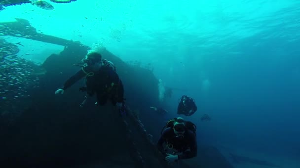 Дайвінг в червоному морі група дайверів занурених — стокове відео