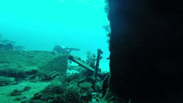 Mergulho no Mar Vermelho. — Vídeo de Stock