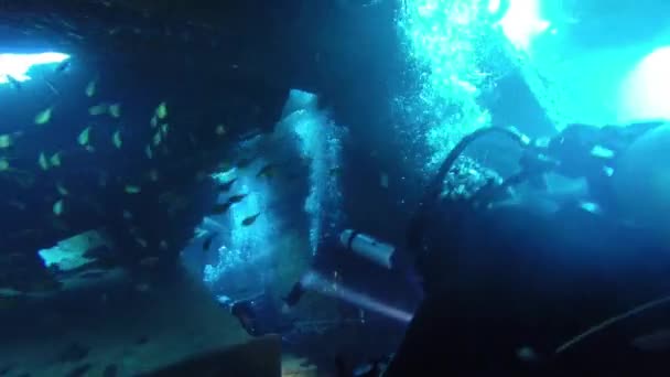 Diving in the red sea a group of divers submerged — Stock Video