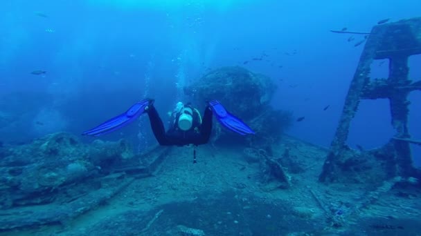 Duiken in de Rode Zee. — Stockvideo