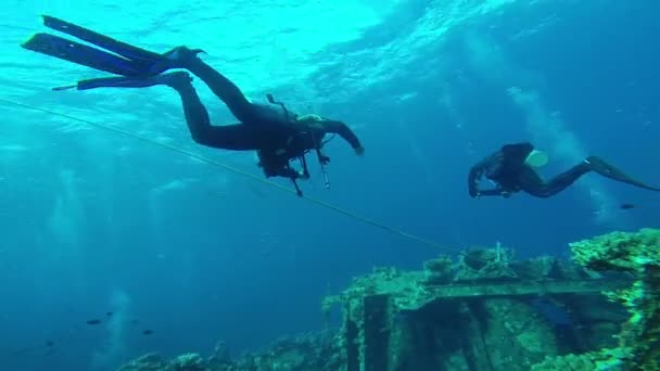 Duiken in de rode zee, een groep van duikers ondergedompeld — Stockvideo