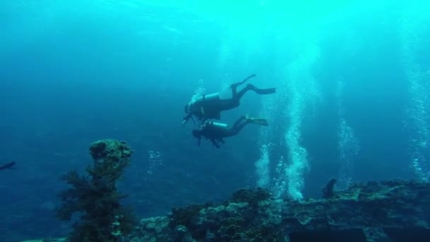 Potápění v Rudém moři skupina potápěčů pod tavidlem — Stock video