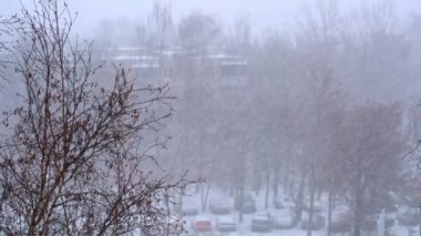 Onun yol, şehirde sürüş karlı yolda araba kar yağışı