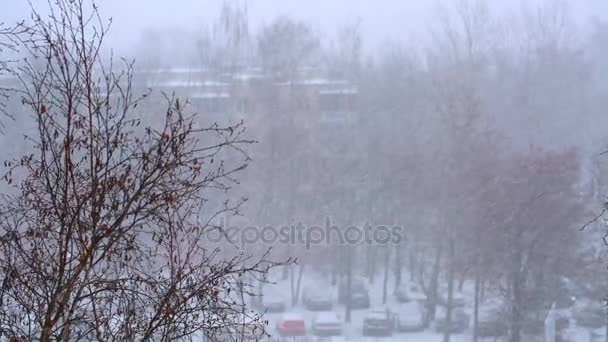 La sua neve in città, la strada, le auto che guidano su strada innevata — Video Stock