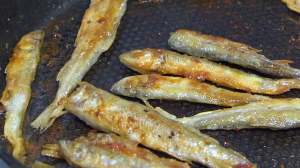 Fish fried in a skillet. Smelt. — Stock Video
