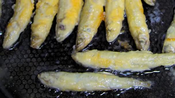 Pescado frito en una sartén. Fundición. . — Vídeos de Stock