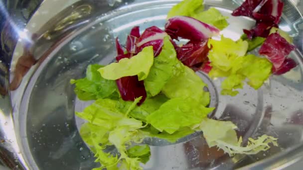 Lechuga cayendo en el cuenco de metal — Vídeo de stock