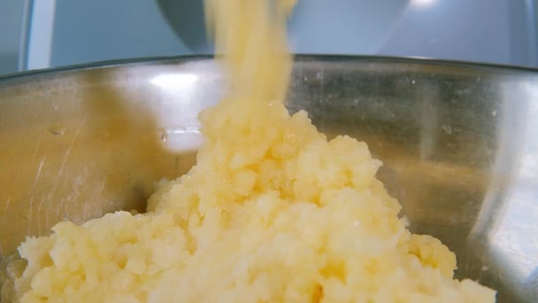 Potatis i elektrisk köttkvarn — Stockvideo