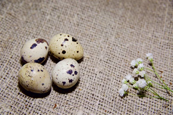 Великодні яйця на красивому тлі — стокове фото