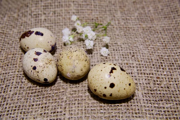 Uova di Pasqua su un bellissimo sfondo — Foto Stock