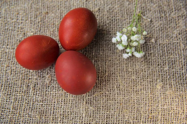Ovos de Páscoa em um belo fundo — Fotografia de Stock