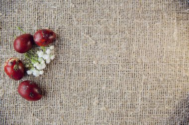 Güzel bir arka plan üzerinde Paskalya yumurtaları